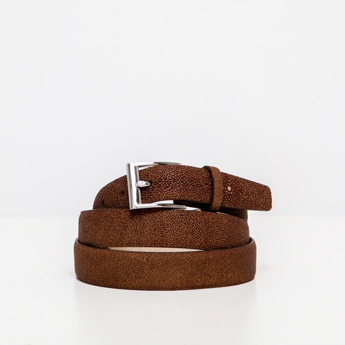 Cintura Uomo DOTTI<br> Razza Marrone chiaro <br> 30 mm